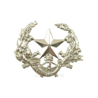 Cameronians (Scottish Rifles) – Cap Badge