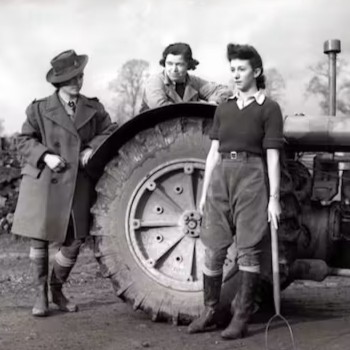 Women's Land Army Jumper - 1943 - Image 7