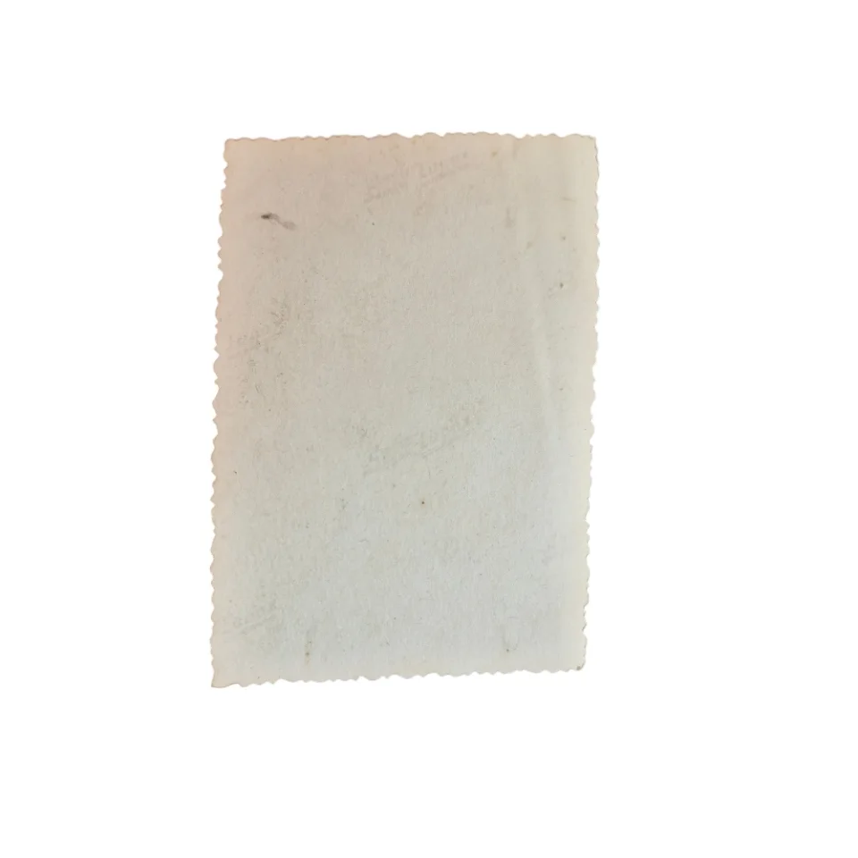 Polish Armoured Division - Picture - Image 2