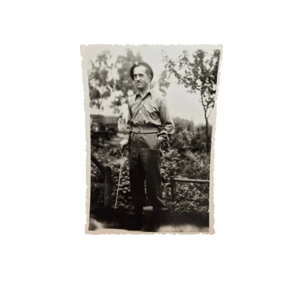 Polish Armoured Division - Picture