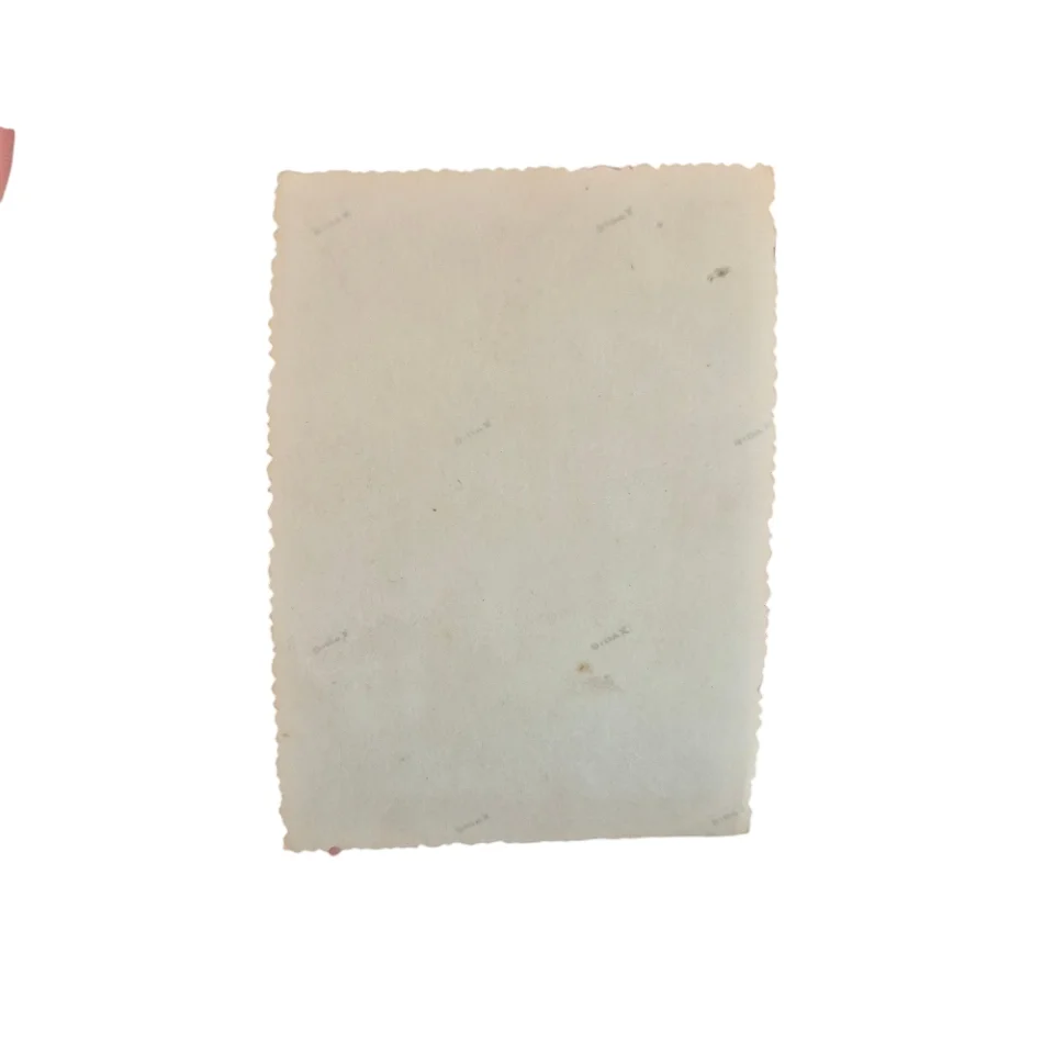 Polish Armoured Division - Picture - Image 2